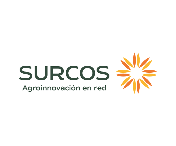 Surcos